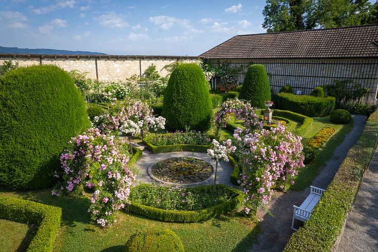 Rosengarten auf Schloss Wildegg m