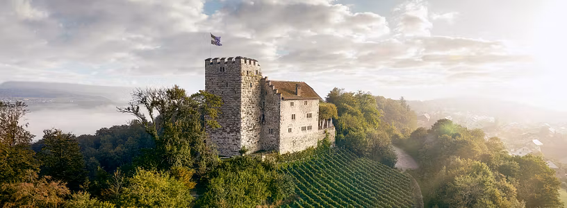 Luftaufnahme vom Schloss Habsburg von Michel Jaussi
