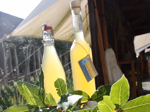 Zwei Flaschen Mulsum im Lazarett des Legionärspfad Vindonissa.