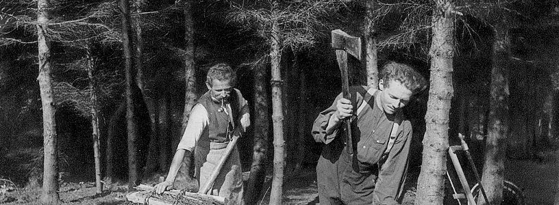 Historische Aufnahme in schwarz-weiss: Holzarbeit im Wald um 1929