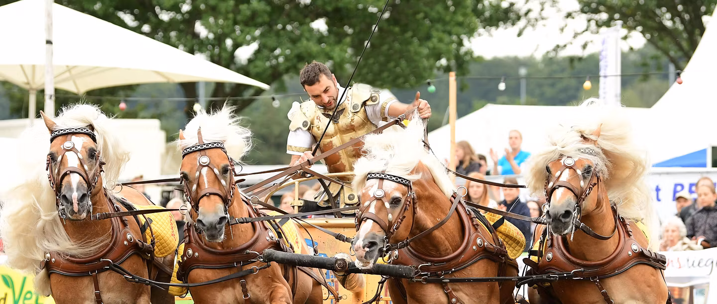 Römisches Wagenrennen in Aktion: Ein römischer Wagenlenker mit vier Pferden