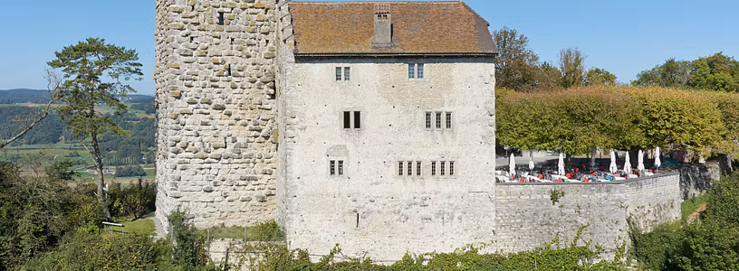 Flugaufnahme von nahem Schloss Habsburg