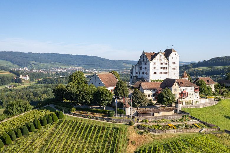 Luftaufnahme Schloss Wildegg mit Rebberg