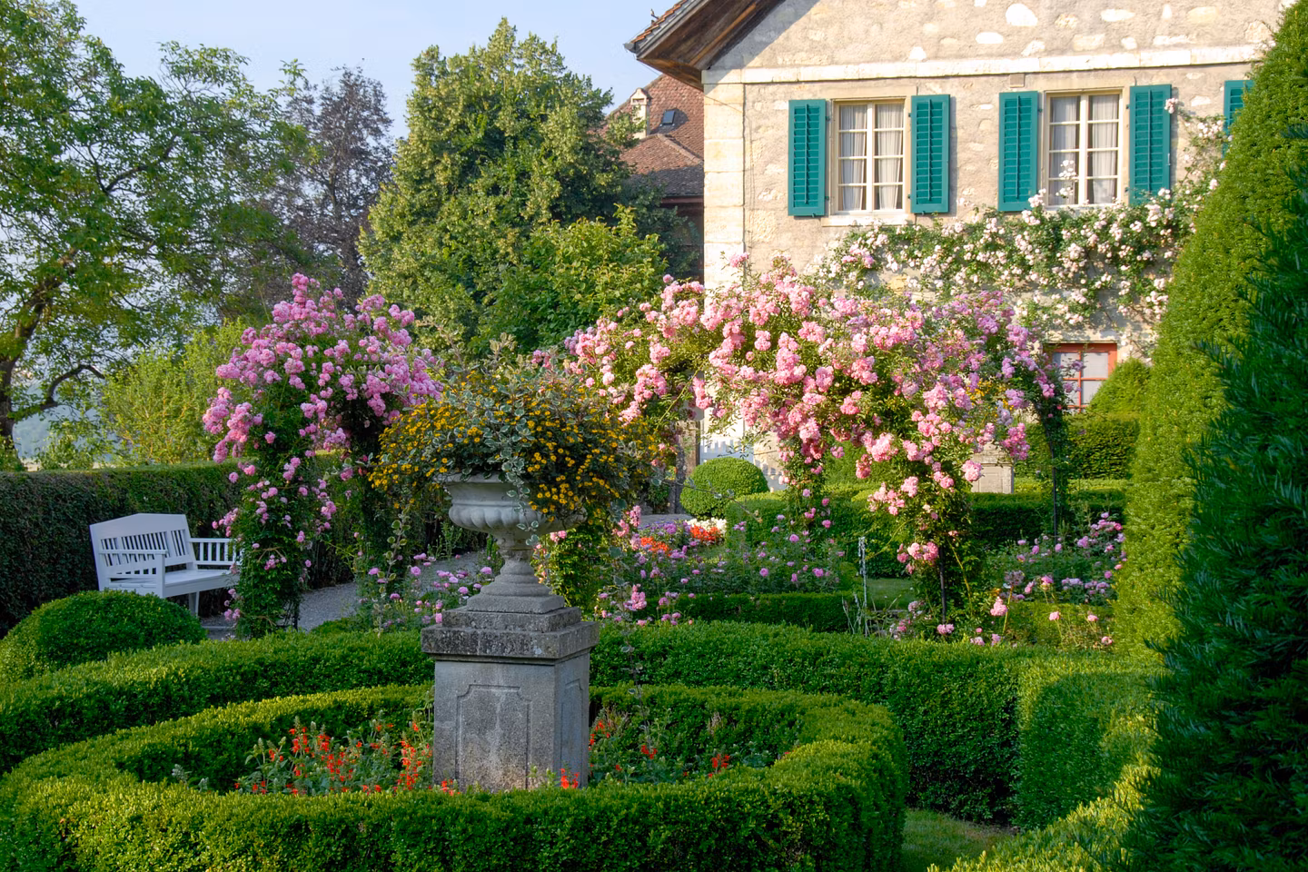 Rosengarten Schloss Wildegg, im Hintergrund das historische Rebhaus.