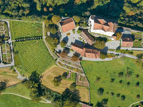 Luftaufnahme von Schloss Wildegg.