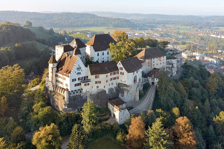 Luftaufnahme Schloss Lenzburg, umgeben von Wald.