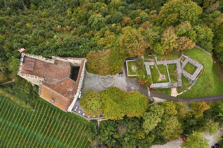Schloss Habsburg im Adlerflug Flugaufnahme