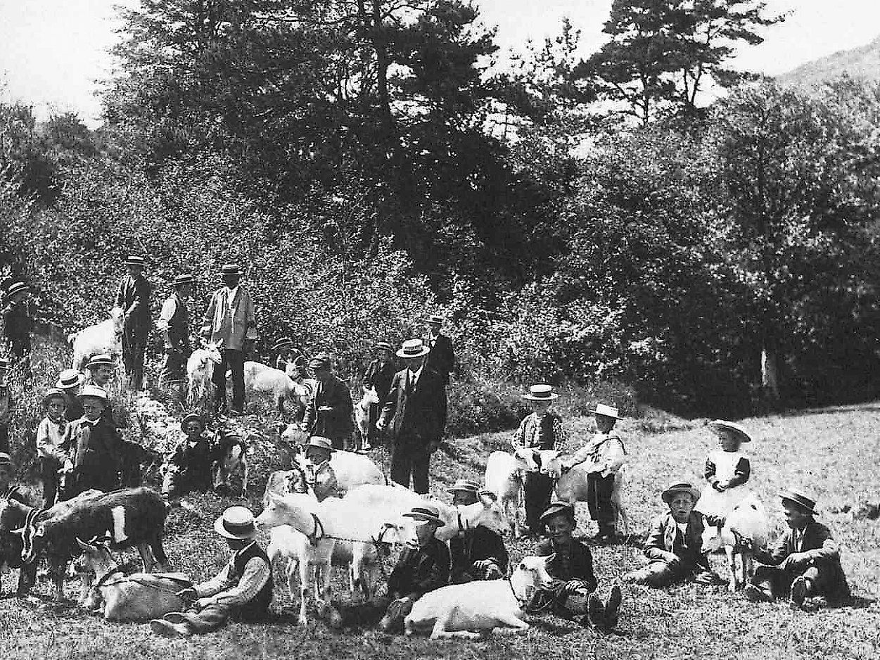 Eine Menschenmenge mit Tieren in einer Waldlichtung. Historische schwarz-weiss-Aufnahme.