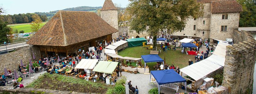 Luftaufnahme Mosttage Schloss Hallwyl: Viele Marktstände und Menschen im Hof.