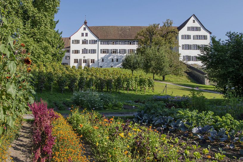 Garten und Park der Klosterhalbinsel Wettingen, im Hintergrund das Kloster Wettingen.