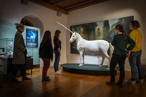 Ausstellung "Einhorn – eine fabelhafte Geschichte" Schloss Lenzburg