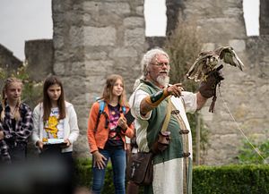 Mittelaltermarkt Schloss Lenzburg: Greifvogel-Vorführung mit dem Falkner