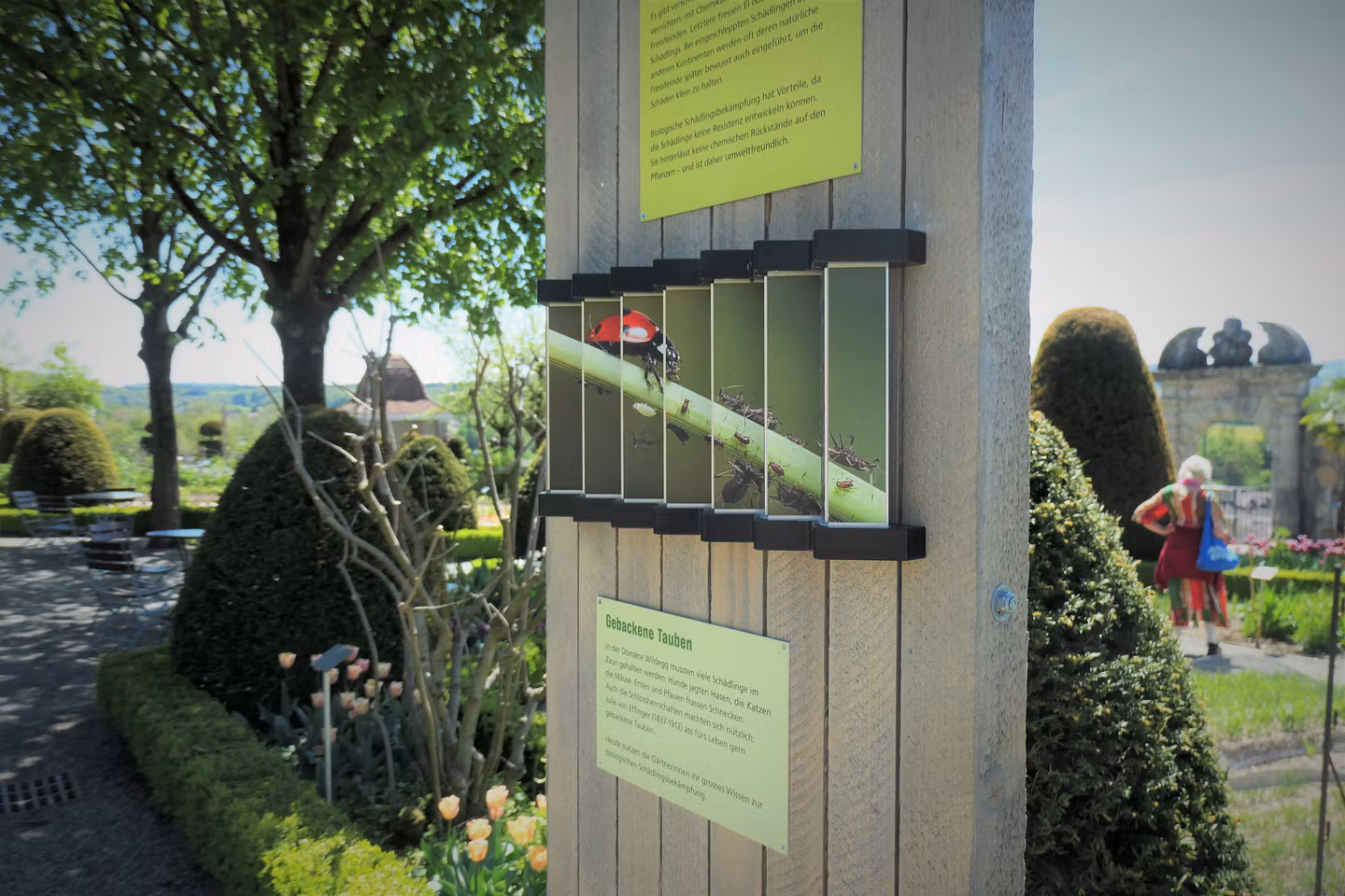 Eine Infotafel im Garten von Schloss Wildegg