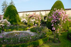 Rosengarten von Schloss Wildegg