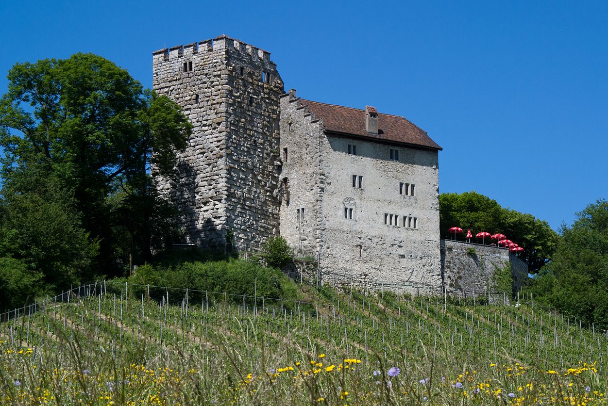 Die südwestliche Seite von Schloss Habsburg im heutigen Zustand.