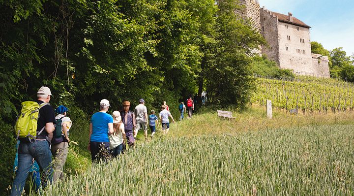 Wanderer auf dem Weg zum Schloss Habsburg