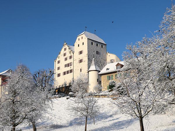 Schloss Wildegg im Winter. Im Vordergrund sind eine verschneite Wiese und Bäume zu sehen.