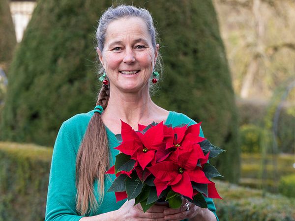 Eine Frau steht vor Hecken und Bäumen im Garten von Schloss Wildegg. Sie lächelt in die Kamera und hält einen kleinen Weihnachtsstern.