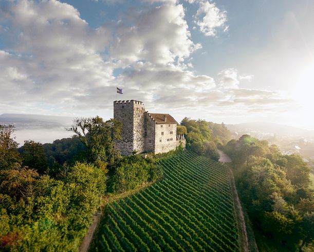 Luftaufnahme vom Schloss Habsburg von Michel Jaussi