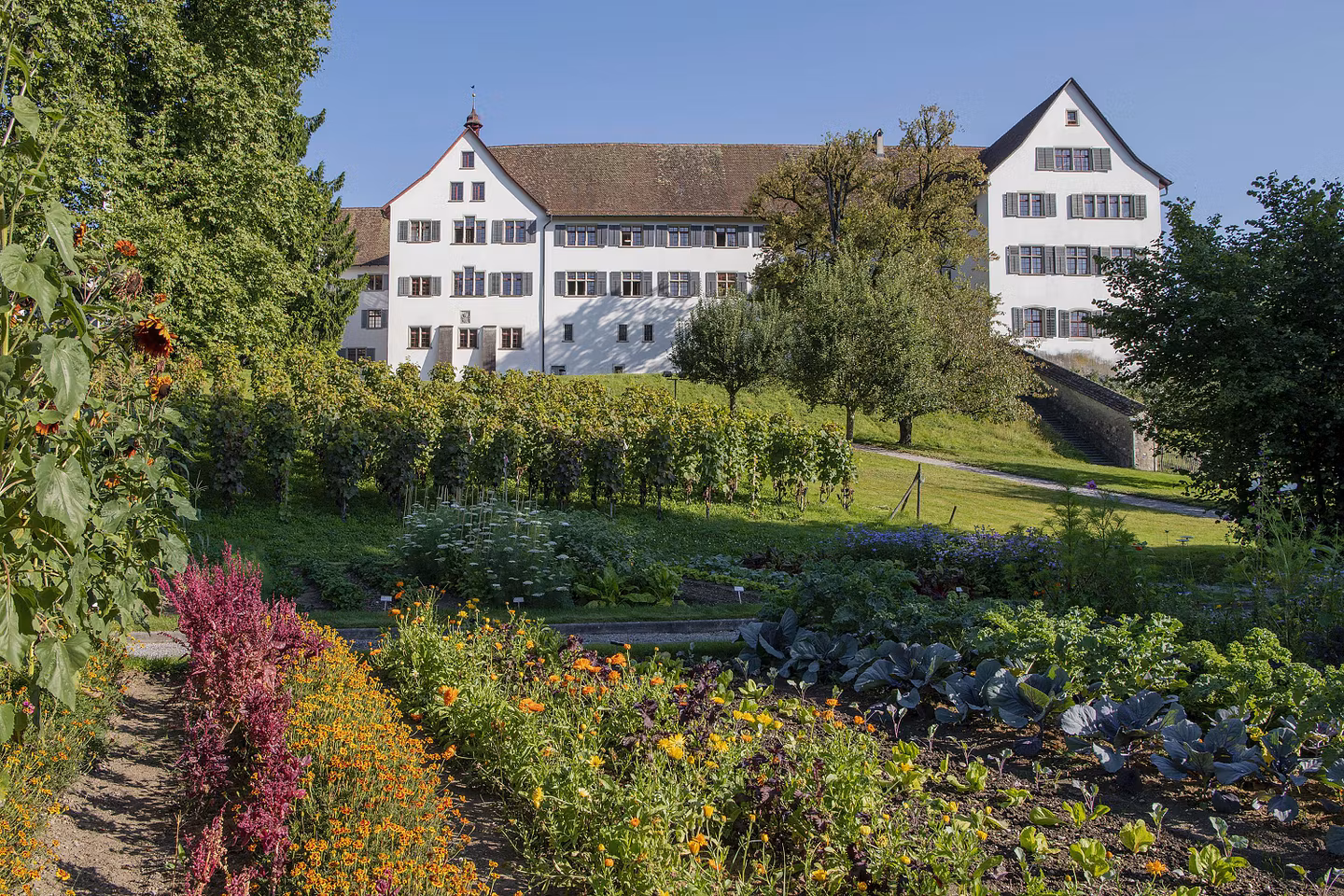 Garten im Park der Klosterhalbinsel Wettingen, im Hintergrund der Kloster-Konvent