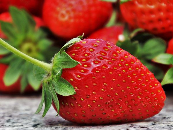 Im Vordergrund eine knallrote Erdbeere; im Hintergrund weitere Erdbeeren in Unschärfe.
