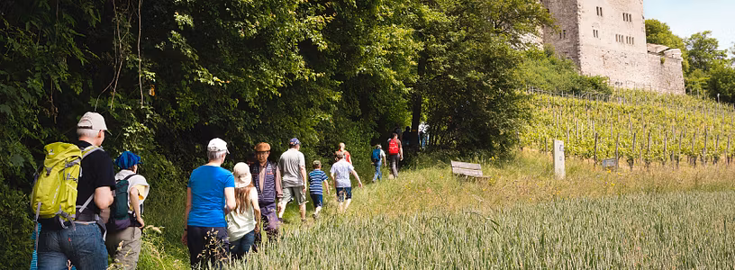 Wanderer auf dem Weg zum Schloss Habsburg