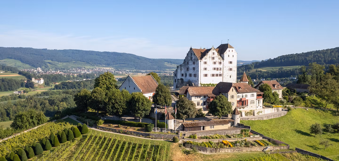 Luftaufnahme Schloss Wildegg mit Rebberg