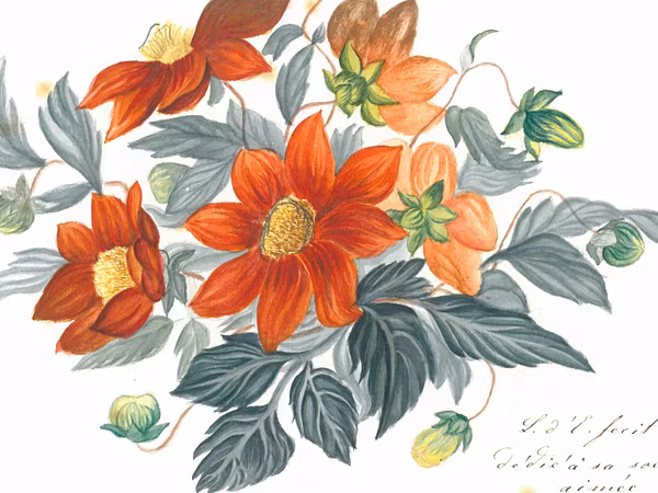 Bunte Blumenzeichnung aus der Sammlung Museum Aargau.