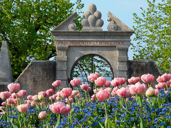 Foto von Gartenportal Schloss Wildegg. Blumen im Vordergrund zu sehen.