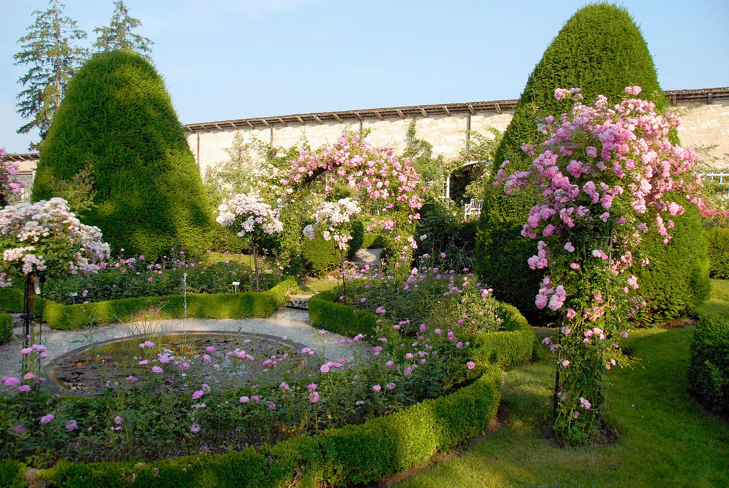 Aufnahme Rosengarten auf Schloss Wildegg