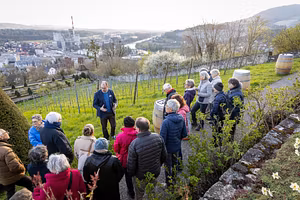 Saisoneröffnung Museum Aargau vom 1. April 2025 auf Schloss Wildegg: Führung durch den neuen Rebpfad