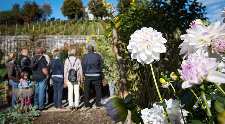 Besucherinnen im Lustgarten vorne im Bild schön blühende Blumen