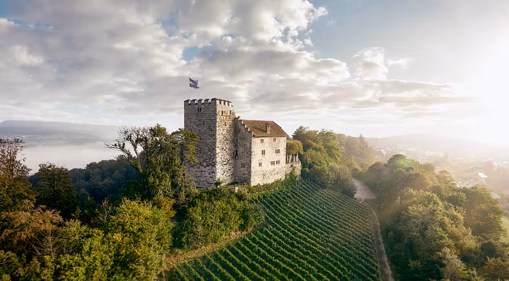 Luftaufnahme vom Schloss Habsburg von Michel Jaussi