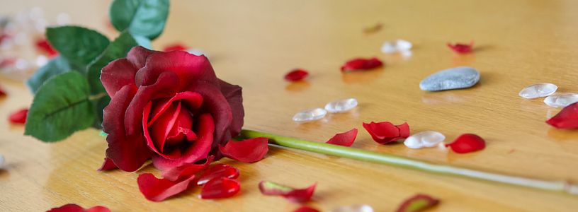 Eine Rose mit Blättern, Steinen und weiteren Dekorationen liegt auf einem Tisch; dies als Zeichen für Hochzeit und Trauung.