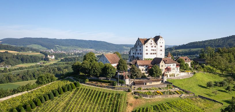 Luftaufnahme Schloss Wildegg mit Rebberg