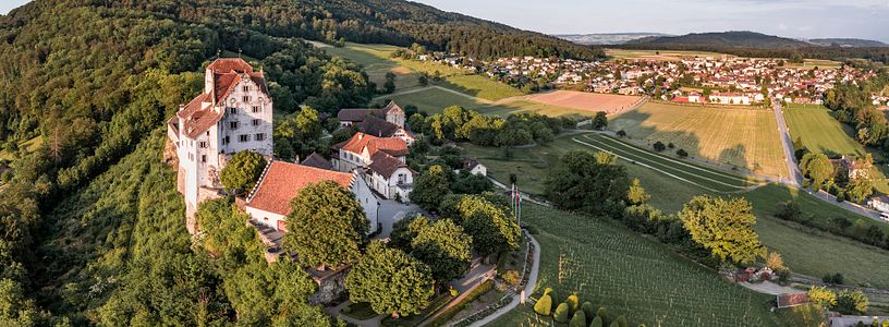 Luftaufnahme Schloss Wildegg mit Rebberg und Umland im Morgenlicht