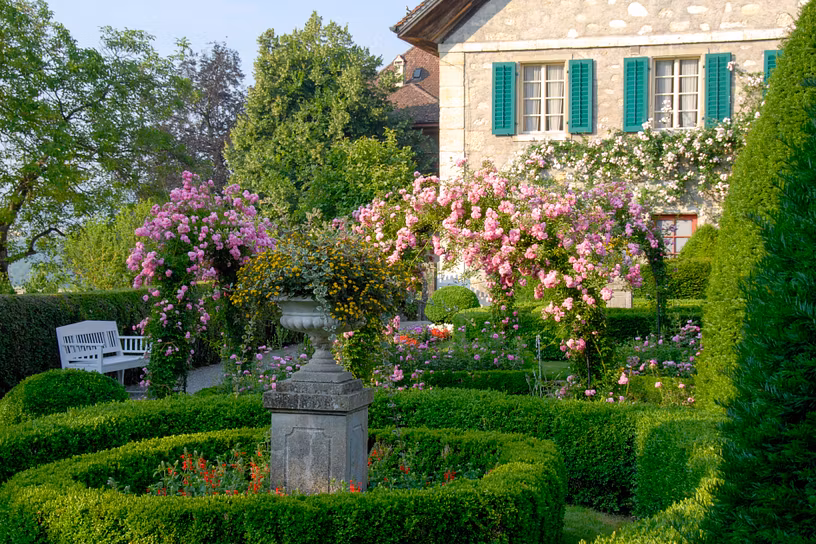 Rosengarten Schloss Wildegg, im Hintergrund das historische Rebhaus.